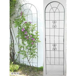 2Wワイヤーフェンス 50×200cmの買取情報