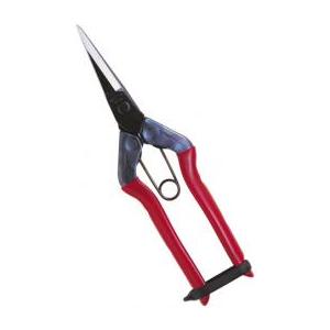 近正 芽切鋏 T-550 尖直刃 袋入 福K D