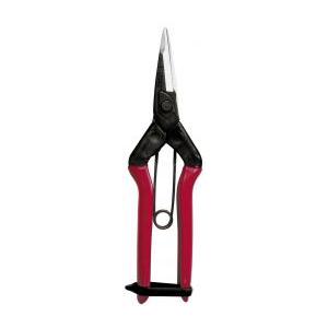 近正 大型摘果鋏 刃先薄刃 T-601K 福KD