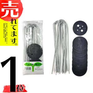 Uピン 杭 黒丸 付 【 10本 、長さ 20cm 】 防草...