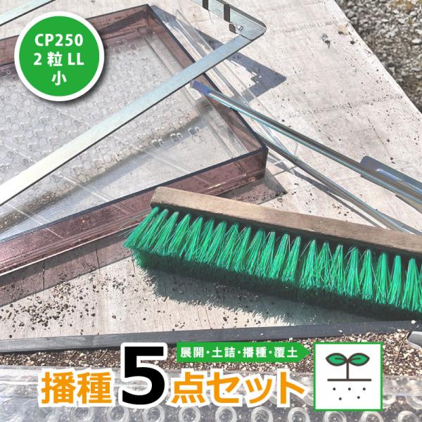 播種5点セット CP250 2粒LL-小 チェーンポット用 展開串 土詰ブラシ 展開枠 ポットプレー...