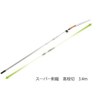 スーパー剣龍 高枝切 3.4m用 替刃式 刃長300mm 板厚1.1mm ピッチ4.0 (寸8枚目)...