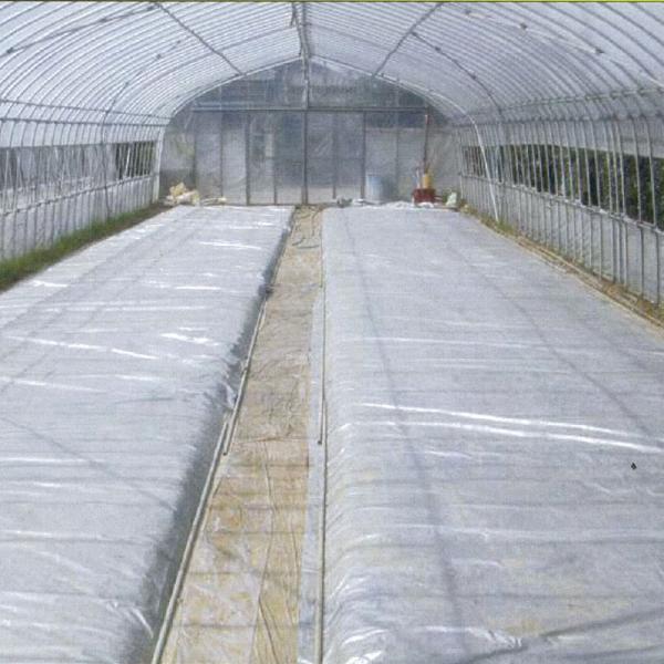 2本 シルバーポリトウ 水稲 用 ＃80 0.05mm×270cm×50m 育苗 に トーカン タS...