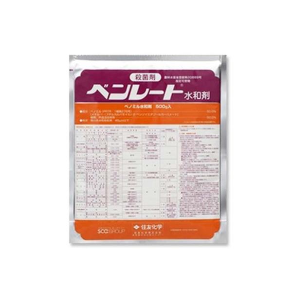 ベンレート水和剤 100g 殺菌剤 農薬 水稲 イN 代引不可
