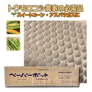 ペーパーポット No.2-264 1冊（単品）264鉢 生分解性 紙筒 播種 種まき 育苗 苗 スイートコーン アスパラガス 野菜 ニッテン タSZ｜plusys