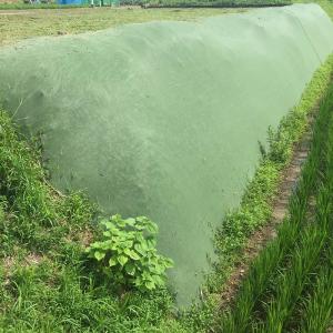 雑草抑制おまかせネット 幅1.5m×50m巻 グリーン 雑草対策 大一工業 法面 畦畔 北海道配送不可 代引不可