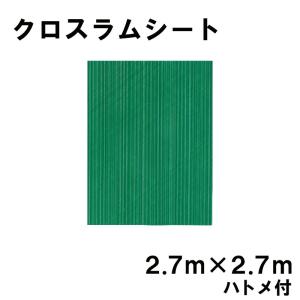 クロスラムシート 2.7 m × 2.7 m ハトメ付 養生シート カ施 代引不可