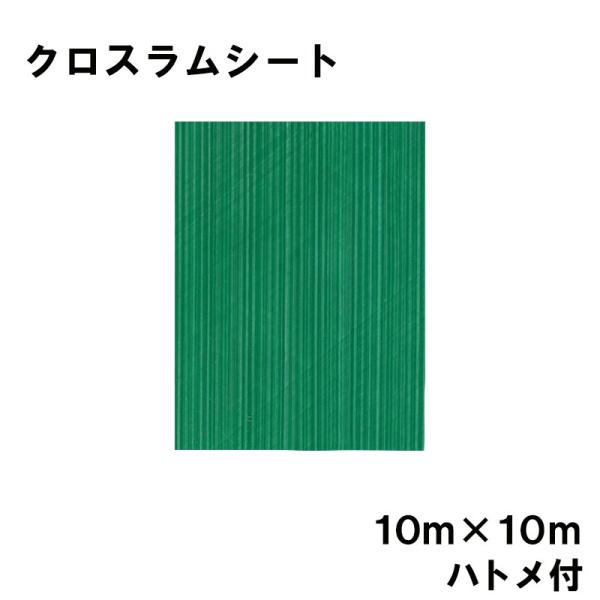 クロスラムシート 10 m×10 m ハトメ付 養生シート カ施 代引不可