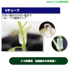 北海道配送不可 10000個 Vチューブ65 小 ブルー 内径1.4、1.7mm楕円 長さ12mm ナス科用 接木チューブ 透明 タS 代引不可｜plusys