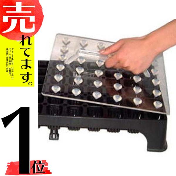 V押突起 鎮圧板 空中ポットレストレー 128穴 専用 穴押器 1/2サイズ 阪中緑化資材 タS 代...