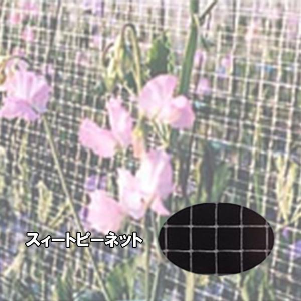 スイートピーネット 目合18×20mm 5m×100m 白 OF1674 コンウェッドネット タS ...