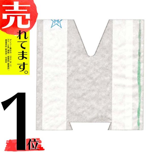 100枚 桃用 果実袋 オゾンS 120×140 一重袋 点付け 552070 早生用 桃 モモ も...