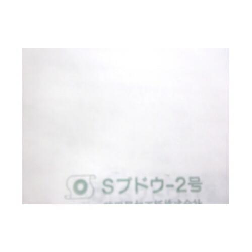 3000枚 果実袋 ぶどう ブドウ 袋 H2号 巨峰 ピオーネなど 190×270 柴 タS D