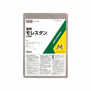 5個 殺虫剤 モレスタン水和剤 100g アグロ...の商品画像