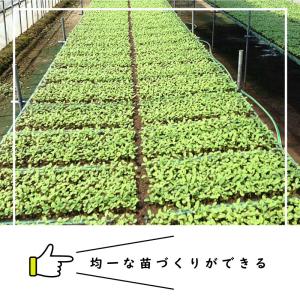 LPチェーンポット LP303-15 1冊 (...の詳細画像1