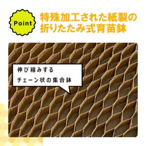 LPチェーンポット LP303-15 1冊 (...の詳細画像3