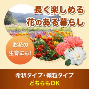 HB-101 100cc フローラ 原液 HB...の詳細画像5