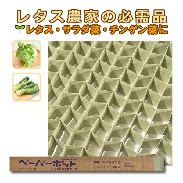 ペーパーポット SM2406 200冊 (個) 406鉢 生分解性 紙筒 播種 種まき 育苗 苗 レ...