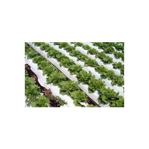 個人宅配送不可 北海道不可 3本 リバースマルチ 白黒 0.023mm×150cm×200m マルチ...