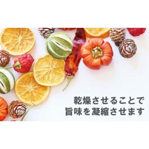 食品乾燥機 ドラッピーmini 100V 家庭...の詳細画像2