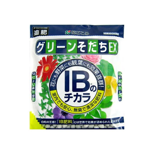 90個 花ごころ IBのチカラ グリーンそだちEX 80g 追肥 観葉植物 草花 野菜 肥料 タS ...