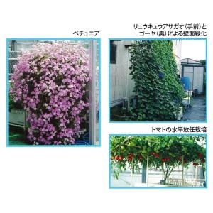 水耕栽培キット ホームハイポニカ 303 家庭...の詳細画像2