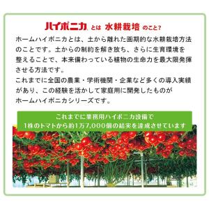 水耕栽培キット ホームハイポニカ 303 家庭...の詳細画像4