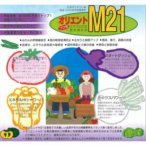 10個 オリエントM21 1kg ミネラル欠乏...の詳細画像1