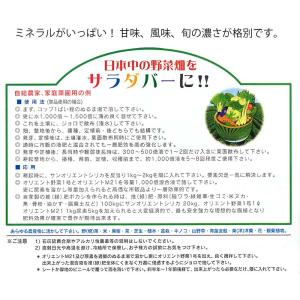 10個 オリエントM21 1kg ミネラル欠乏...の詳細画像3
