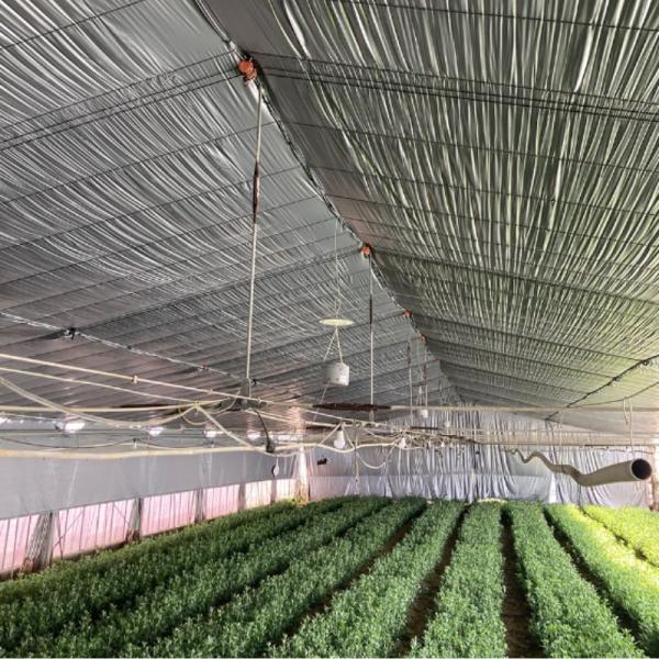 ハイメタリックシルバー 厚み0.075mm 幅300cm 長さ50m 農ビ 外張り用 内張り用 遮光...