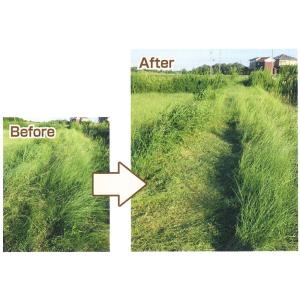 ビーバーカッター300 本体 6本入替コード付...の詳細画像4