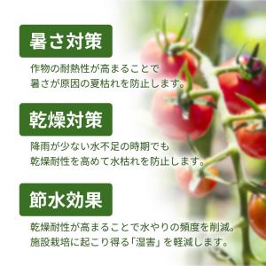 スキーポン・アグリ Skeepon Agri ...の詳細画像5