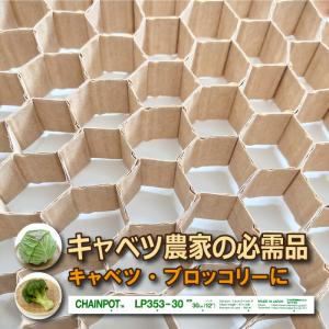 LPチェーンポット LP353-30 1冊 (単品) 株間30cm 190鉢 播種 種まき 育苗 キャベツ ブロッコリー lp353-30 チェーンポット 紙筒 ニッテン 日本甜菜製糖 タSZ