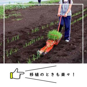 LPチェーンポット LP353-30 1冊 (...の詳細画像2