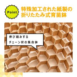 LPチェーンポット LP353-30 1冊 (...の詳細画像3