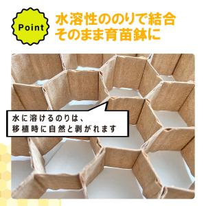 LPチェーンポット LP353-30 1冊 (...の詳細画像4