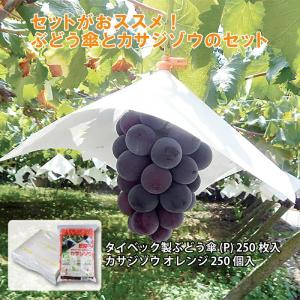 2点セット タイベック製 ぶどう傘 (P) 27...の商品画像