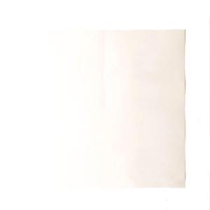 ぶどう用 葡萄傘 ロー引傘 300角 300×300mm 1ケース5000枚入 553206
