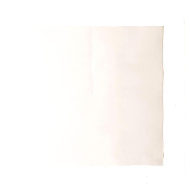 2500枚 270角 葡萄傘 白撥水傘 80g 厚手 553281 4570123992163 27...