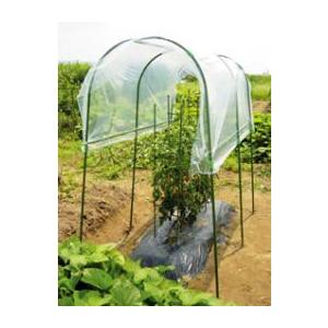 4個 1.3×1.8m 家庭菜園 雨よけセット 第一ビニール 第B 代引不可
