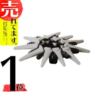 【１台分】ヤンマー コンバイン YH6115 用 引き起こしチェーン ヤンマー純正 コンバイン用引き起こしチェーン [1E8940-14261