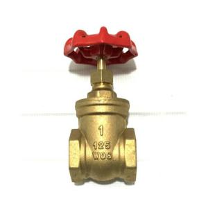 東栄菅機（TSK） ゲートバルブ TSK 125型 GV40（1