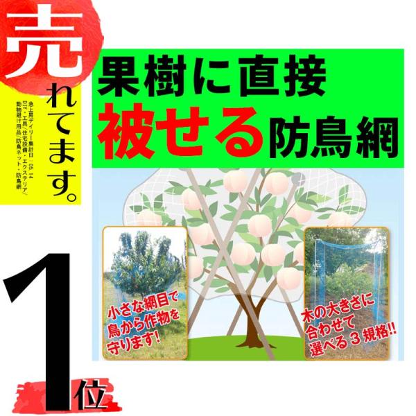 果樹用 直がけ 防鳥網 9×9m 20mm 目合 木に被せる防鳥網 直掛け 日本マタイ DZ