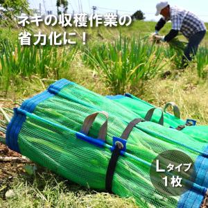 ねぎまき 400111_2.jpg