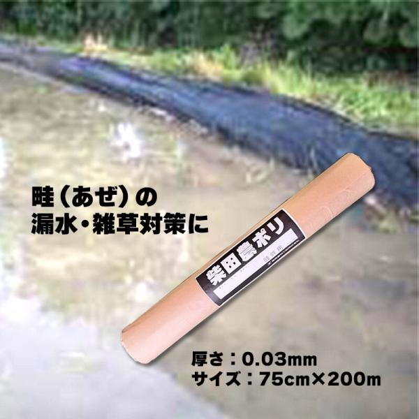 アゼマルチ 厚さ0.03mm×巾75cm×長さ200m 畦畔シート ポリシート あぜマルチ 畦マルチ...
