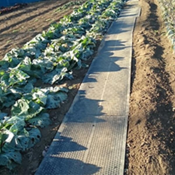 農道マット 5mm厚×幅700mm×長さ2m 魚瀬ゴム 代引不可