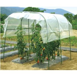 4個 1.9×1.8m 家庭菜園 雨よけセット ワイド 間口約190cm 第一ビニール 第B 代引不...