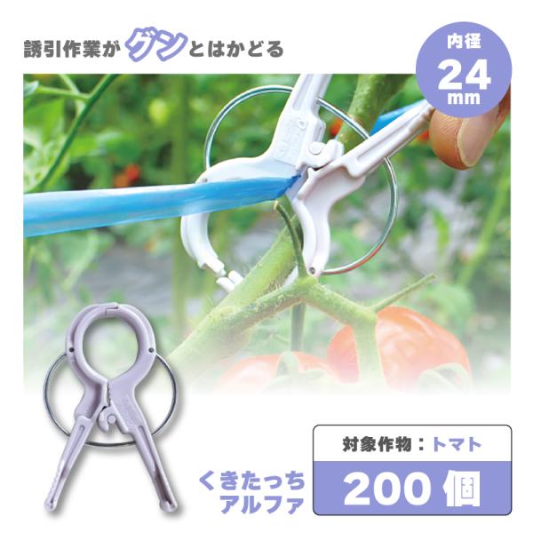 200個 くきたっちアルファ パープル 細紐用 紐誘引クリップ 誘引クリップ 誘引資材 誘引器具 誘...