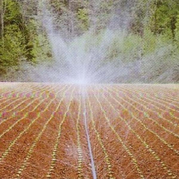 灌水チューブ スミレイン40 100m 住化農業 潅水チューブ カ施 代引不可