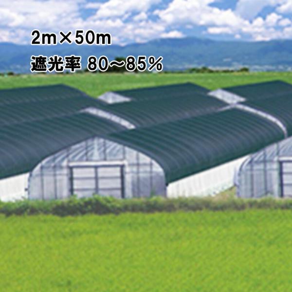 2m×50m 黒 遮光率80〜85％ ワイドスクリーン 遮光ネット BK1012 寒冷紗 日本ワイド...